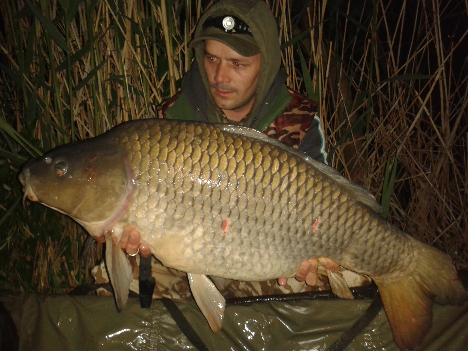 15-17.05.2015 - 20150516005633.jpg